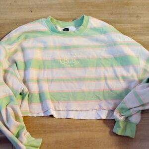 BDG Pastel Striped Cropped Sweatshirt size large